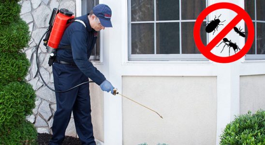 Didim Kemirgen İlaçlama böcek ilaçlama ve haşere kontrolü — ilaclama-tr.com